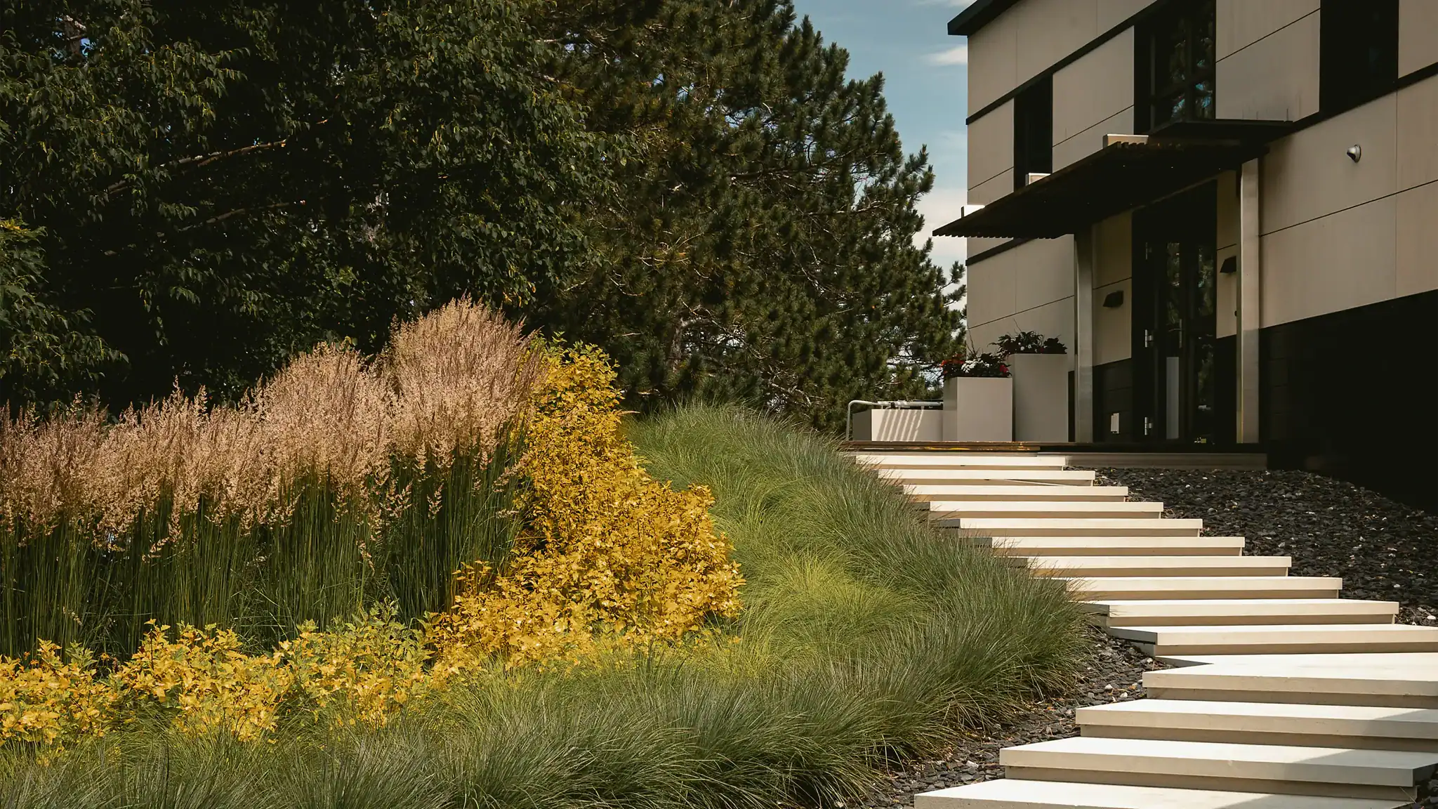 Miller Creek residential landscape project