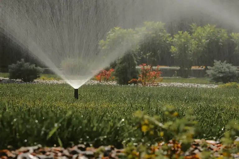 Miller Creek Irrigation